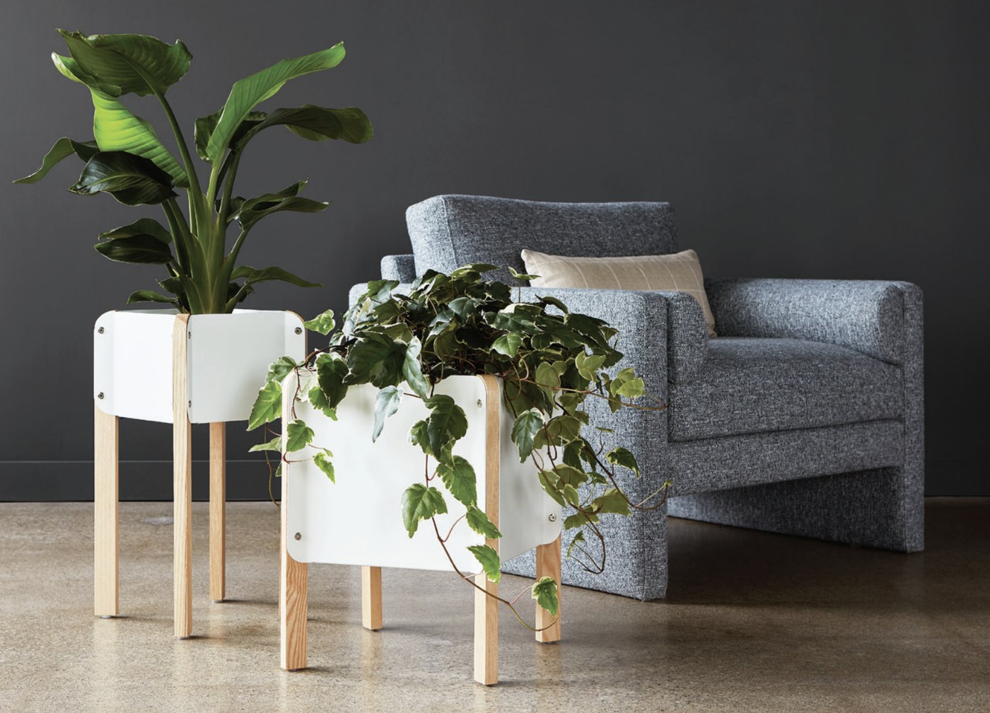 Gus Modern